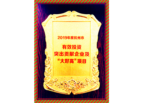 中欣晶圓榮獲2019年度杭州市有效投資突出貢獻企業(yè)及“大好高”項目